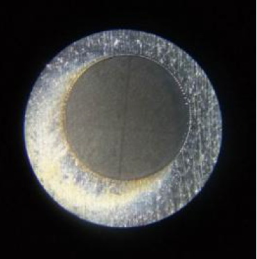 image7.jpg
